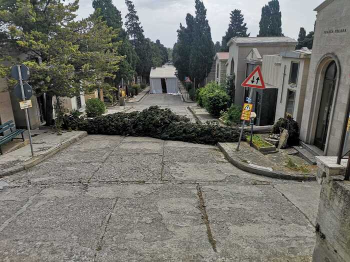 Palermo, alberi caduti e danni al cimitero dei Rotoli per il maltempo