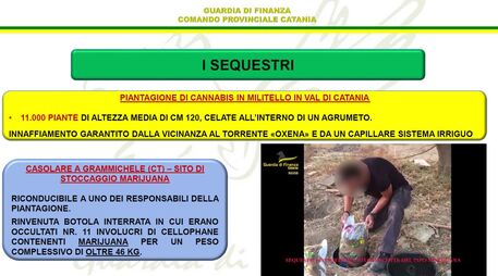 Traffico di droga a Catania con la protezione dei clan: ventuno arresti