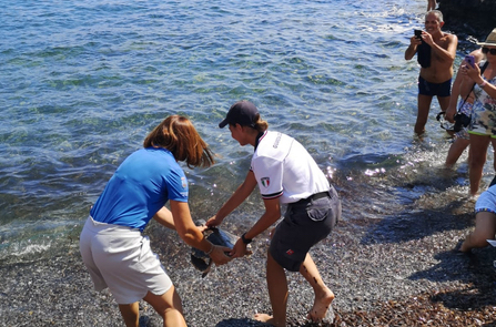 Caretta caretta liberata e gettata nel mare di Marettimo