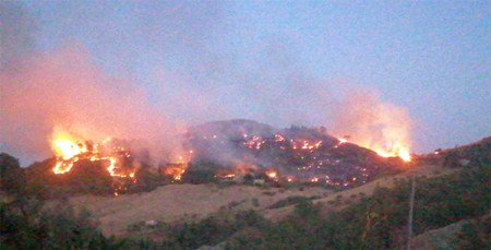 Vasto incendio minaccia aziende agricole nell'Ennese