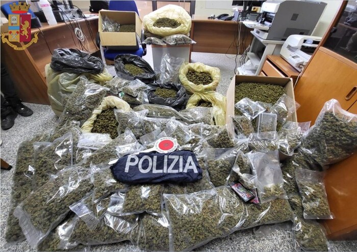 Scoperti e sequestrati 65 chili di marijuana nel Vibonese