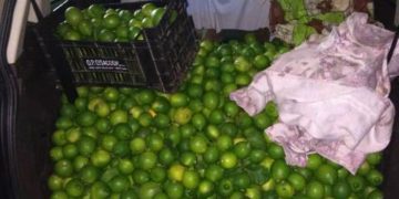 Due tonnellate di agrumi sequestrati a Siracusa