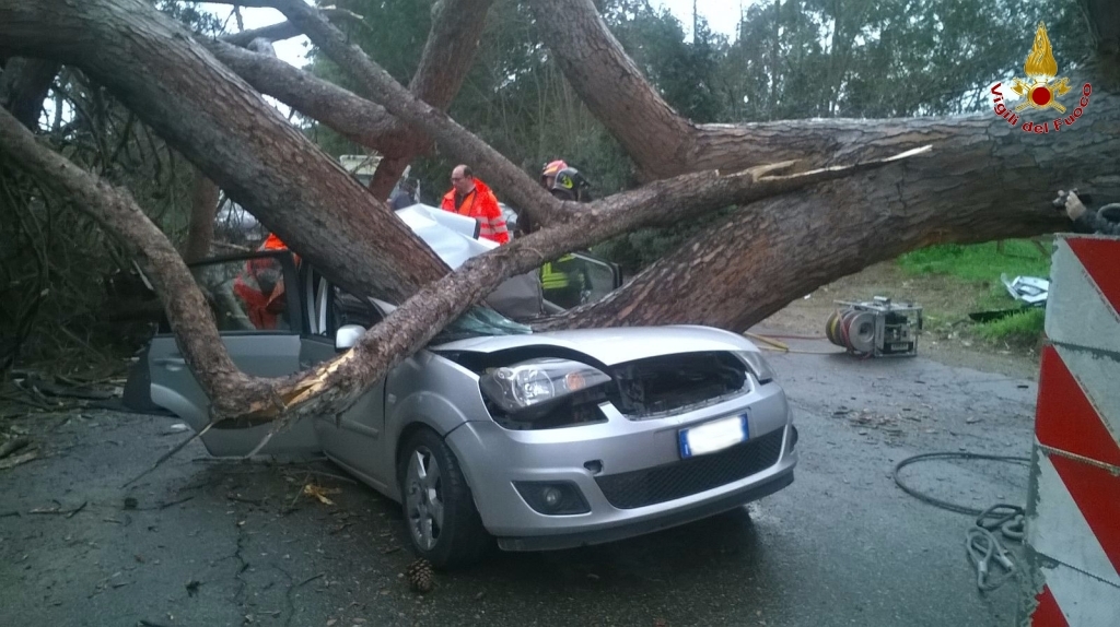 Maltempo: nubifragio a Palermo, crolli in centro e alberi su auto