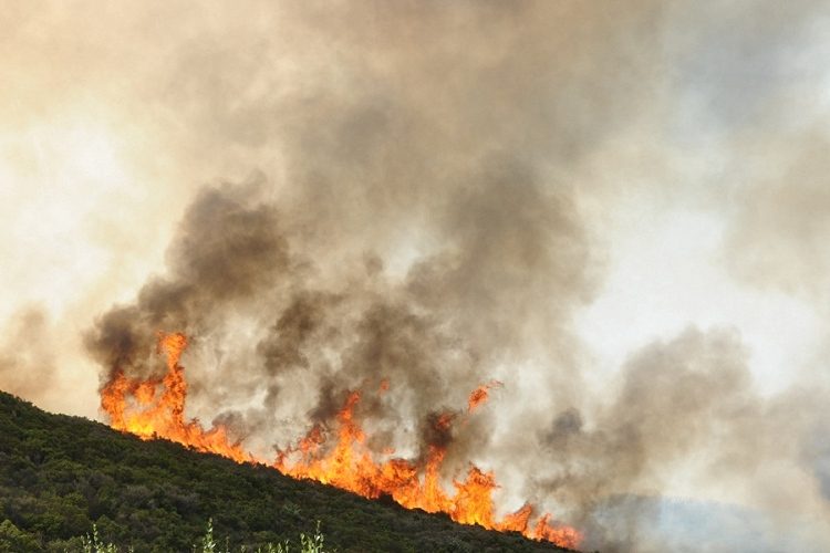 Incendio alla sughereta di Calatafimi: evacuato il Centro didattico