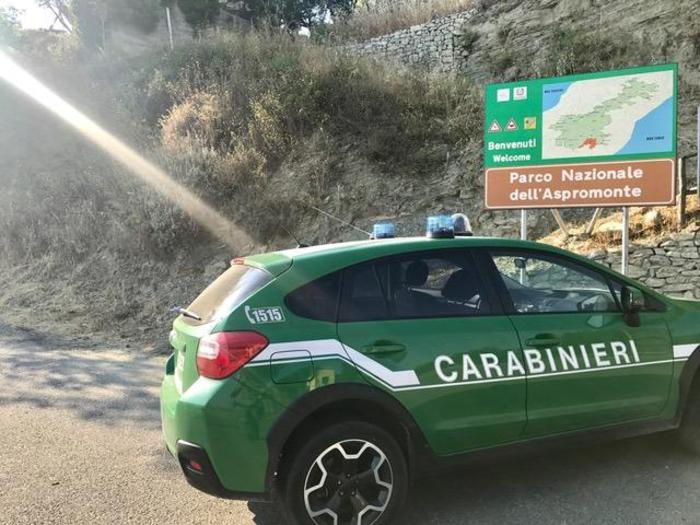 Sorpreso ad appiccare il fuoco nel Parco dell'Aspromonte: arrestato