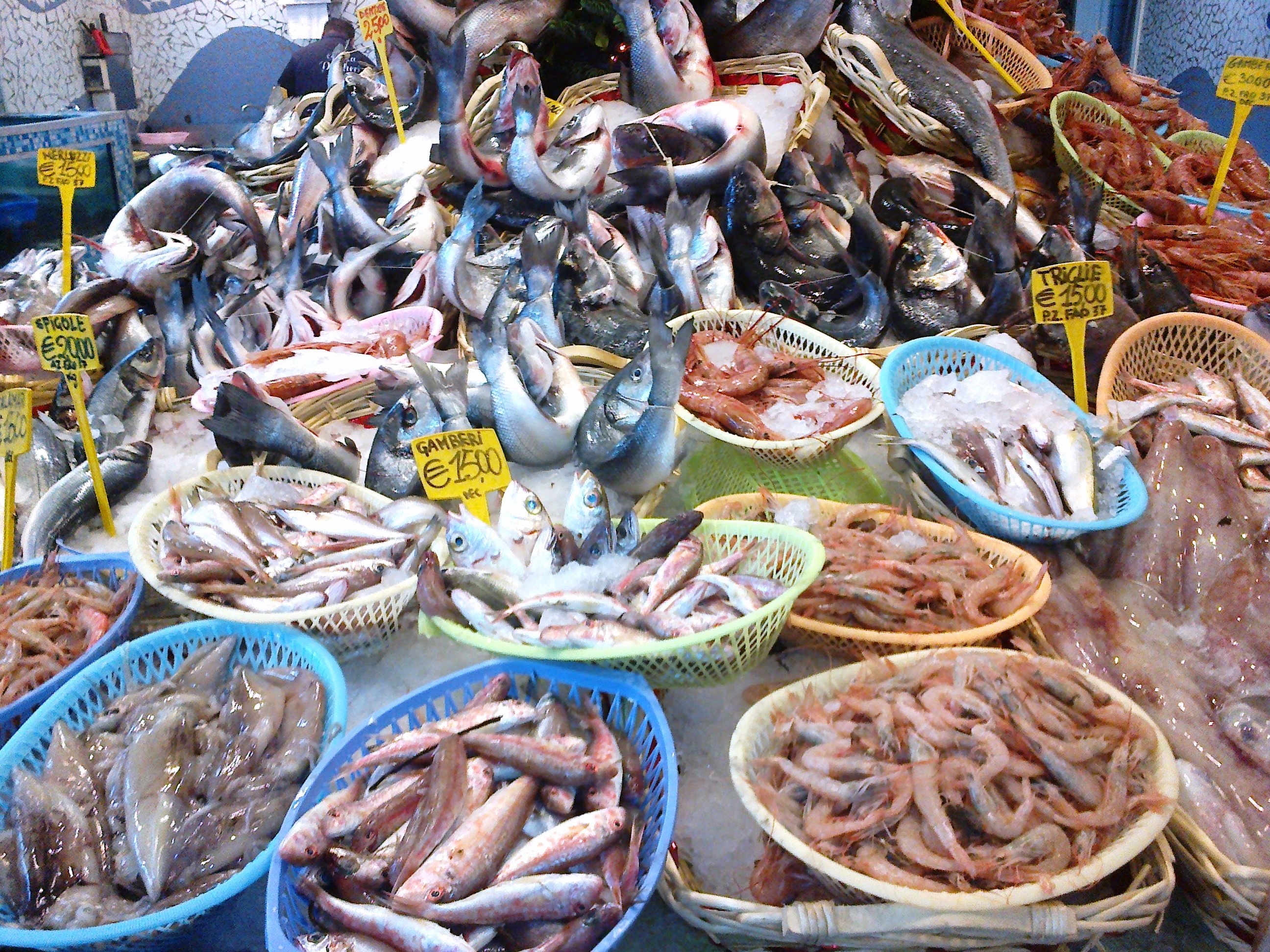 Pesca: Slow Fish, nascono in Sicilia i laboratori del gusto