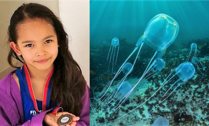 Bimba italiana uccisa da una medusa nelle Filippine