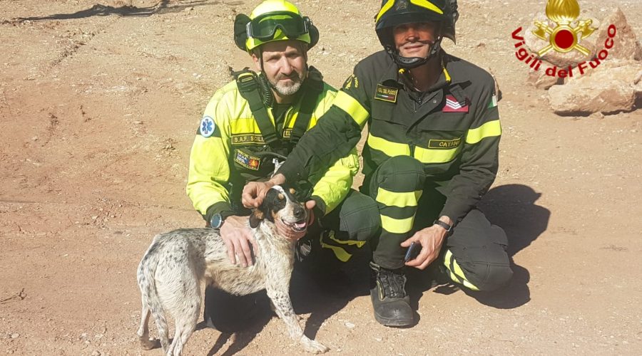 Calatabiano, cane intrappolato in uno scoglio salvato dai pompieri
