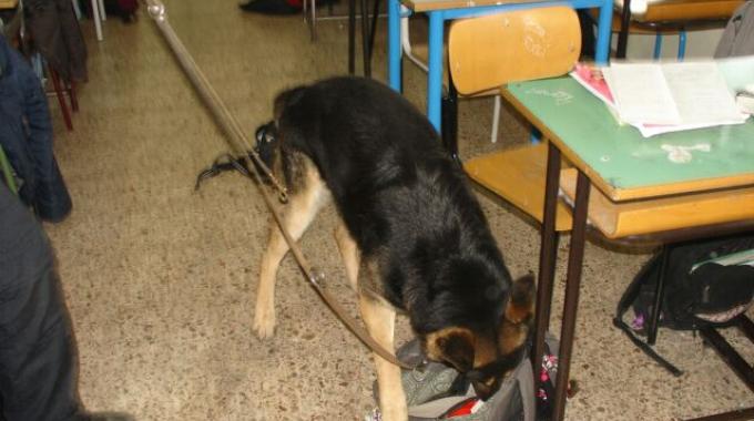 Droga, controlli a tappeto dei carabinieri nelle scuole di Ragusa