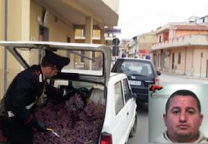 Acate, sorpreso con 300 chili di uva rubata: arrestato 