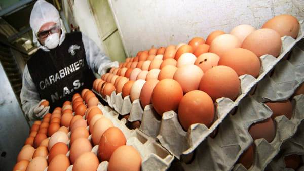 Alla Lidl di Catania sequestrate settecento uova avariate