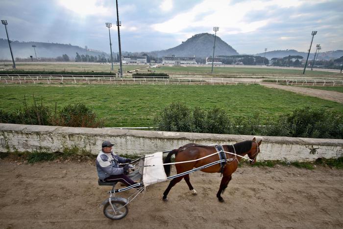 Palermo, associazioni animaliste: vanno tutelati i cavalli della "Favorita"