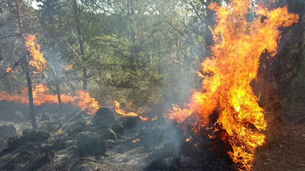 L'incendio di Chiaramonte, aziende agricole salvate grazie alla solidarietà