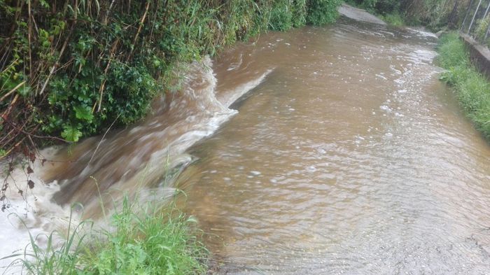 Pioggia ingrossa torrente, almeno cinque morti nel Cosentino