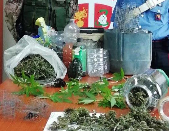 Coltiva e vende marijuana, arrestato un trentenne a Biancavilla
