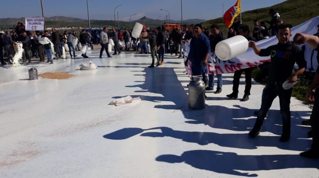 Latte, i pastori siciliani non si fermano: giovedì manifestazione a Vittoria