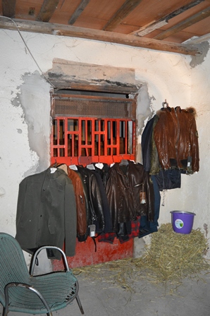Catania, trovati in un edificio vestiti rubati e un cavallo maltrattato 