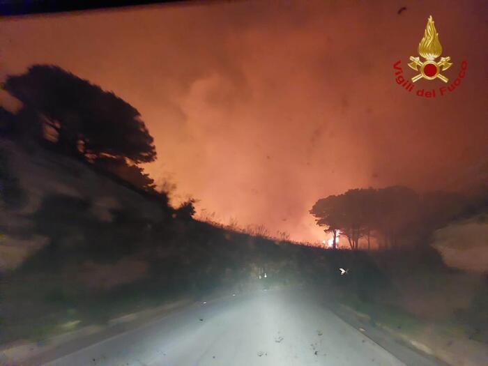 Incendi, 40 ettari di bosco distrutti dal fuoco nel Trapanese