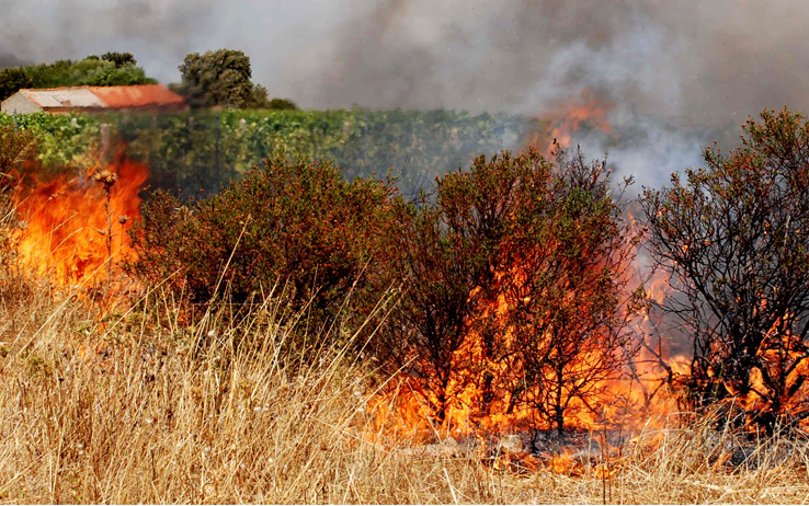 Incendi: rogo nell'Agrigentino, arrestato un presunto piromane 