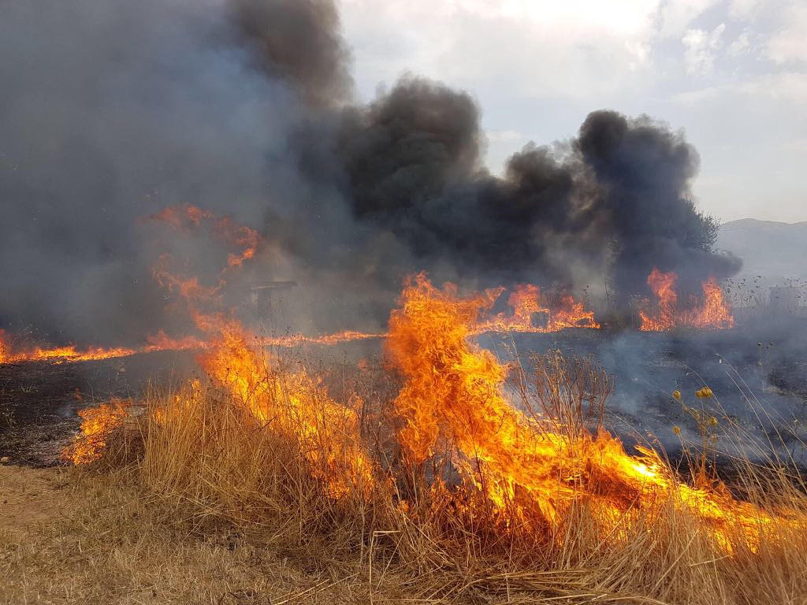 Incendi nell'Ennese, arrestato un allevatore presunto piromane