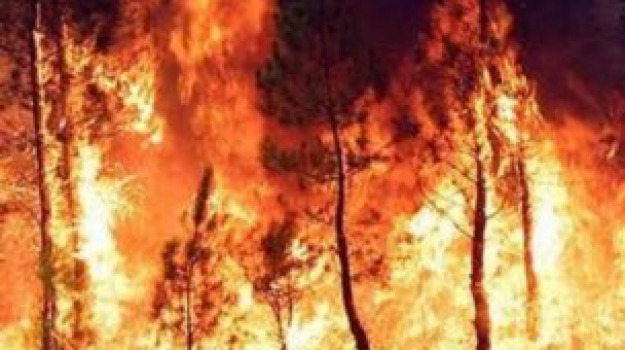 Roghi senza fine nel Palermitano: fuoco minaccia Altavilla Milicia