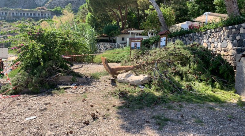 Taormina, cede un ramo di pino a Isolabella: 7 bagnanti  restano feriti