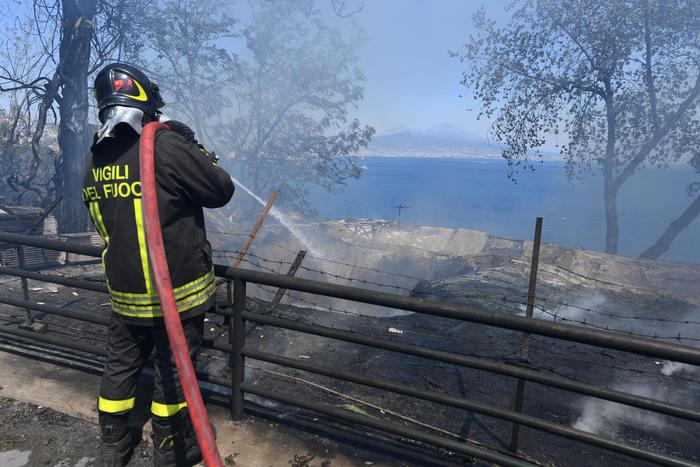 Incendi a Palermo, volontari di Italia Nostra in azione