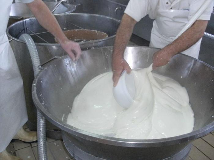 Basilicata, latte: da domani l'obbligo di etichetta, 135 aziende interessate