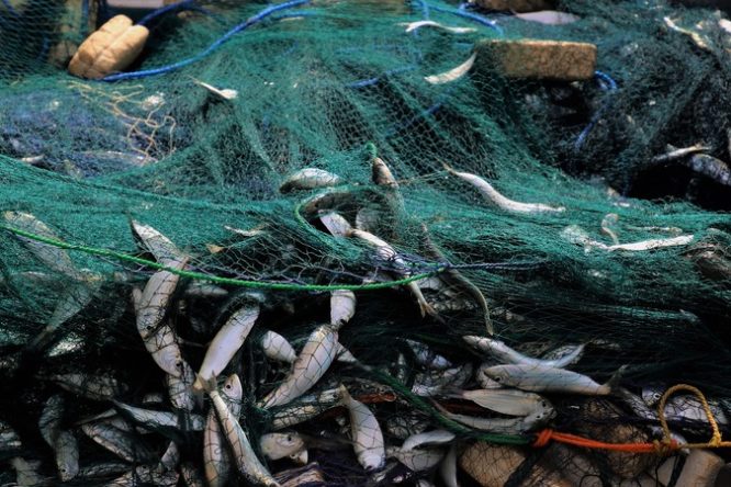 Libia: Regione Sicilia, cooperazione per fermare la guerra del pesce 