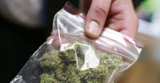 Siracusa, giovane segnalato per possesso di marijuana