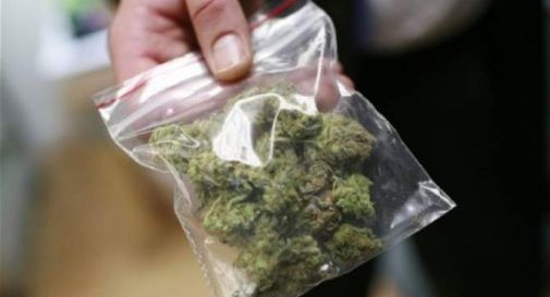 Droga a Priolo, trovato con marijuana da spacciare: denunciato