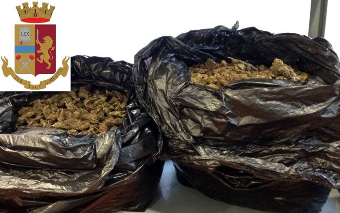 Trasportavano 15 chili di marijuana: due arresti a Niscemi
