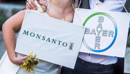 Monsanto, 289 milioni di dollari a un malato di cancro