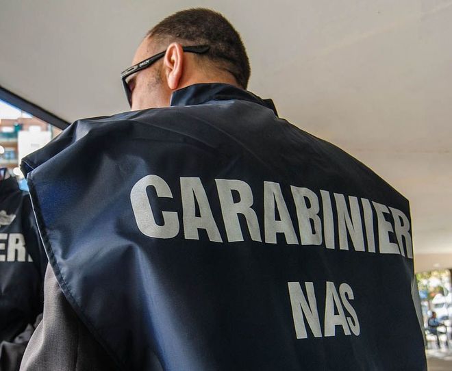 Ispezione dei carabinieri del Nas al canile municipale di Palermo