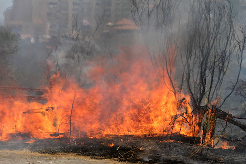 Caldo, "A Catania è allerta incendi: serve una tak force"