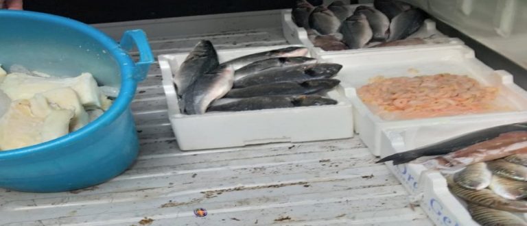 Sequestrato a Catania 80 chili di pescato: multe