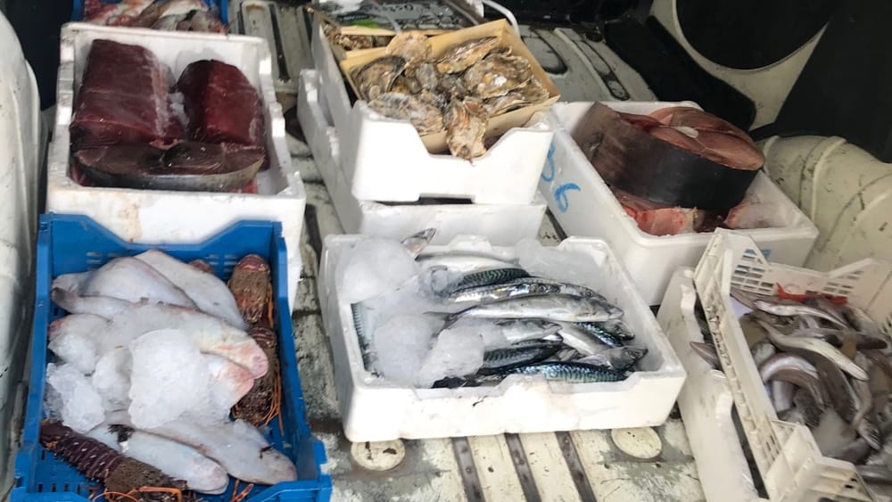 Un quintale di pesce non tracciato sequestrato dalla Capitaneria a Catania