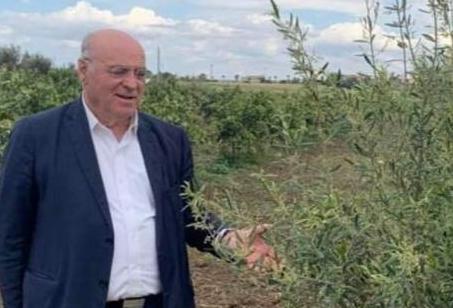 Agricoltura nel Sud est della Sicilia, Pippo Gennuso: non c'è interlocuzione con l'Ue