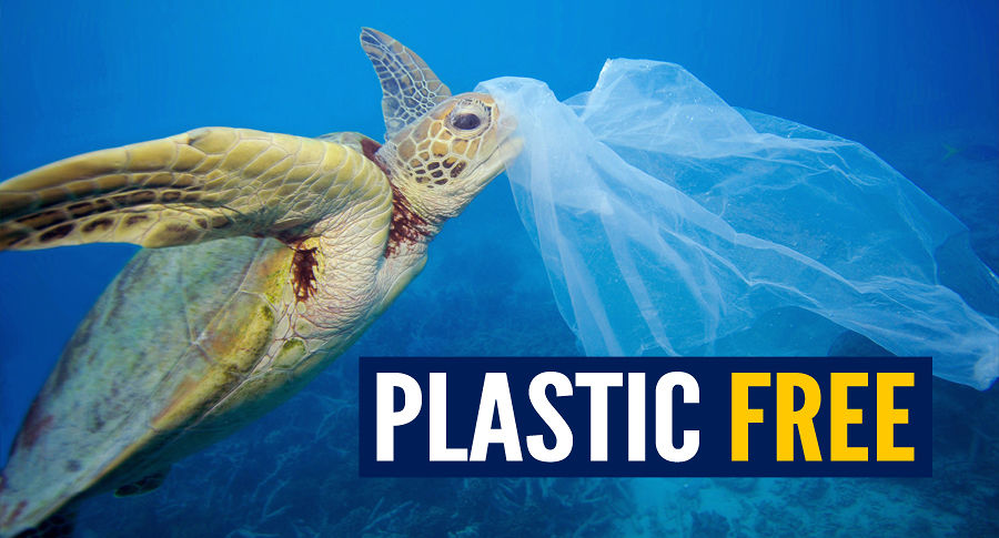 Comuni "Plastic free"  ricevuti a Montecitorio: ci sono Favara e Modica