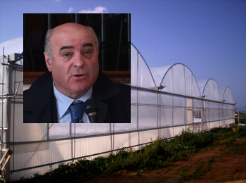 Gennuso: "Agricoltori siciliani vessati dal costo della plastica, intervenga il governo"