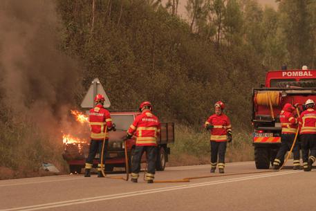 Bosco in fiamme in Portogallo, già  57 morti