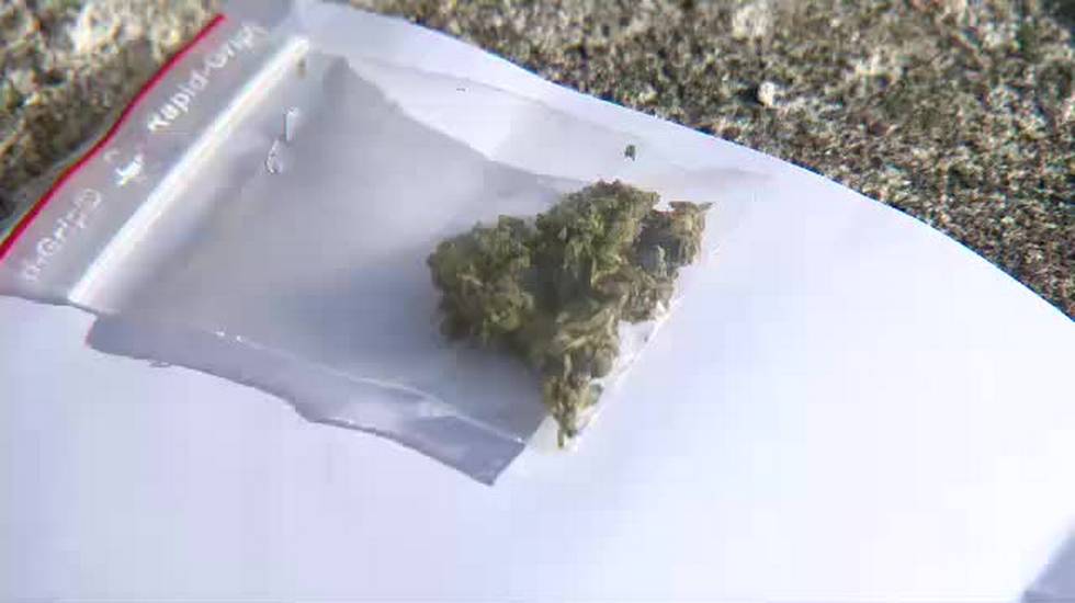 Siracusa, bustina di marijuana abbandonata in un Parco