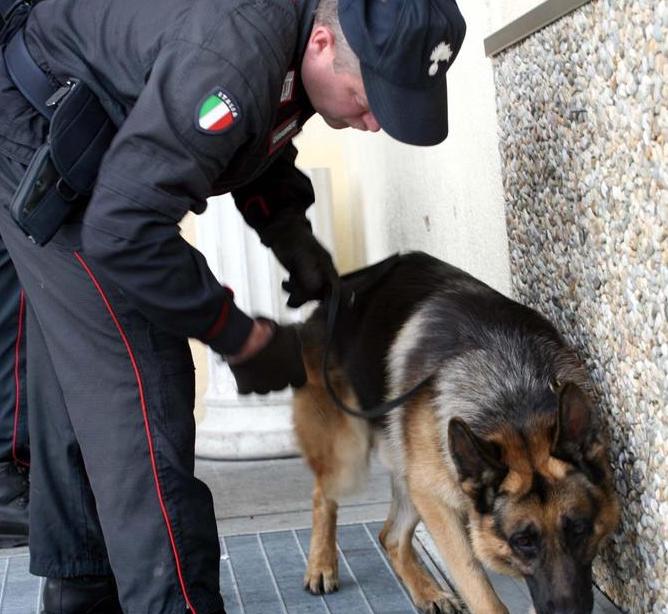 Droga e soldi sottratti ai correntisti, la Procura di Reggio Calabria ordina 18 arresti