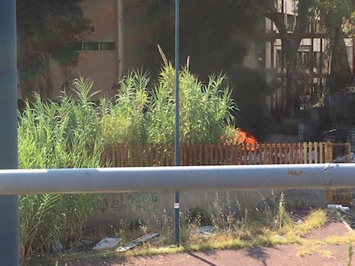 Incendi, roghi dentro l'ex scuola Brancati di Catania: "Un degrado"