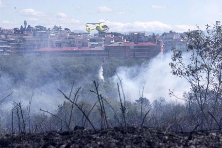 Roma, brucia la pineta Sacchetti: 50 ettari in fiamme