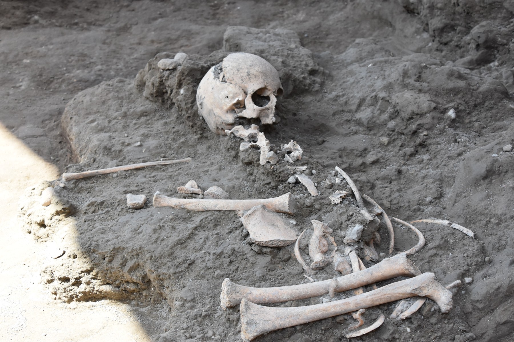 Pompei, trovato lo scheletro di un bimbo durante gli scavi