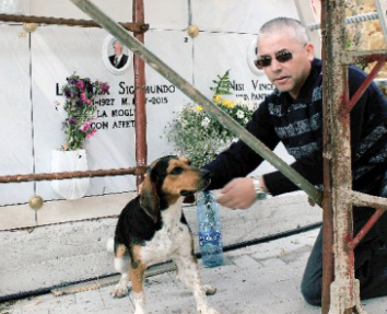 Nicosia, un cane visita ogni giorno la tomba del padrone: la foto