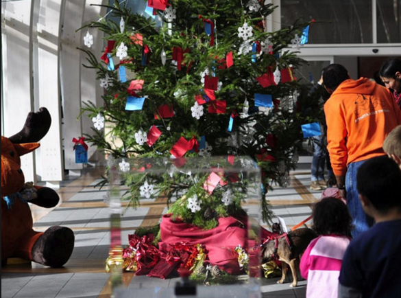 Palermo, Natale: l'albero dei peluche per i bimbi ricoverati e poveri 