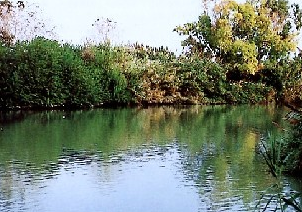 Ragusa, moria di pesci nel fiume Irminio: indaga polizia 