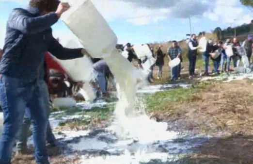 Latte, esplode l'ira dei pastori del Trapanese: buttati in strada  tremila litri